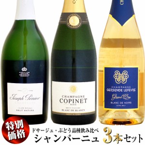 【クール配送】【特別価格】シャンパーニュ 3本セット (ドサージュ・ぶどう品種飲み比べ)