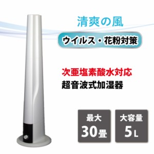 お買い得 超音波加湿器 （※次亜塩素酸タブレット別売）噴霧器 加湿器 超音波式 超音波 ウイルス対策 花粉対策 空間除菌 超音波式加湿器 