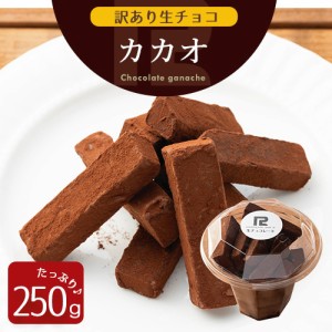 訳あり 生チョコレート カカオ 250g 北海道産 生クリーム ガーナ産 カカオ豆 あす楽 アウトレット ワケあり わけあり スイーツ 洋菓子 お