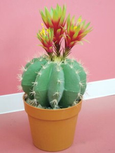  キンシャチ サボテンポット カクタスポット CACTUS グリーン オブジェ 置物 飾り 人工 花 フラワー ディスプレイ 玄関 リビング プレゼ