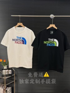  THE NORTH FACE ザ・ノース・フェイス クラシック クルーネック Tシャツ 半袖