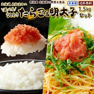 【組み合わせ選べる♪】訳あり たらこ&明太子 1.5kg (500g×3袋) 送料無料 北海道虎杖浜加工 冷凍便 切れ子 バラ子 タラコ 鱈子 メンタイ