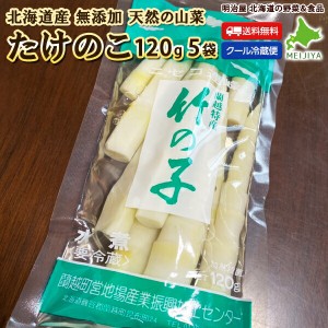 たけのこ 水煮 120g×5袋でお届け♪ 北海道産 天然 山菜水煮 そのまますぐに使える♪ 冷蔵便 無添加
