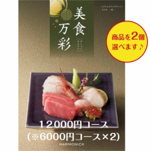 カタログギフト グルメ専門 美食万彩 かすみ 霞ダブル  10000円 送料無料 引出物 結婚 内祝 出産 御祝 お返し 快気祝 新築祝 香典返し ギ