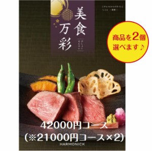 カタログギフト グルメ専門 美食万彩 しこんダブル 紫紺  40000円 引出物 結婚 内祝 出産 御祝 お返し 快気祝 新築祝 法事 香典返し ギフ