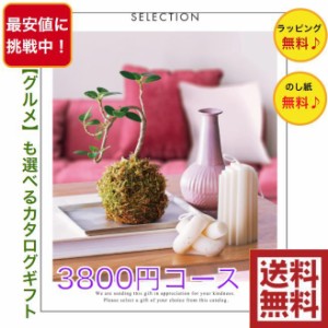 最安値に挑戦 カタログギフト プレミアム 3800円コース 送料無料 引出物 結婚 内祝 出産 御祝 お返し 快気祝 新築祝 法事 香典返し ギフ