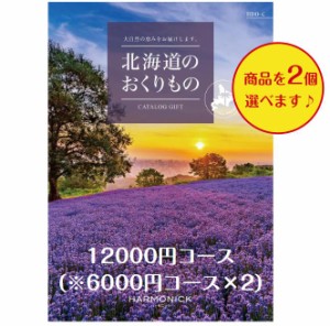 北海道 カタログギフト グルメ 12000円 送料無料 北海道のおくりもの HDO-C ダブル 引出物 結婚 内祝 出産 御祝 お返し 快気祝 新築祝 法