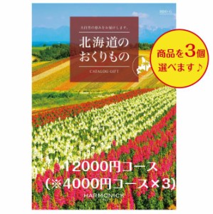 北海道 カタログギフト グルメ 12000円 送料無料 北海道のおくりもの HDO-G トリプル 引出物 結婚 内祝 出産 御祝 お返し 快気祝 新築祝 