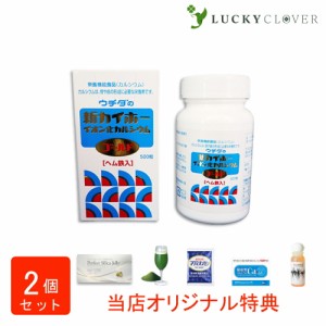 【選べるおまけ付き】【2個セット】ウチダの新カイホー イオン化カルシウムゴールド 500粒×2箱 ウチダ和漢薬 ヘム鉄入 カルシウム