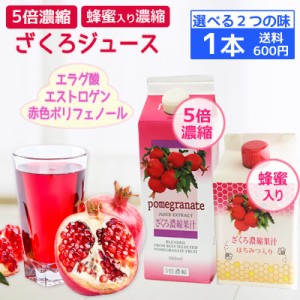 ザクロジュース　5倍濃縮　紙パック入り500ml　1本　はちみつ入り濃縮　農薬不使用　イラン産　完熟ザクロ