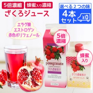 ザクロジュース　5倍濃縮　紙パック入り　500ml　4本　はちみつ入り濃縮　農薬不使用　イラン産　完熟ザクロ　送料無料