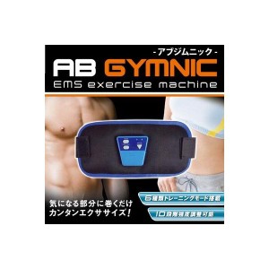 【送料無料】アブジムニック ( AB GYMNIC / AB ジムニック ) ダイエット フィットネス シェイプアップ トレーニング 腹筋 二の腕 下半身
