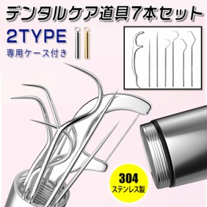 歯石取り (#br107) 歯用ツール 7本セット 日本国内当日発送  爪楊枝 ステンレス製 デンタルフロス 果物ピック 牙？保健 歯石削り