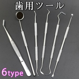 デンタルツール 選べる6type (#br51) 歯石取り器具 自宅用 歯間 ヤニ 歯垢取り 口臭予防 しこう取り 歯石取り器具 歯用ツール