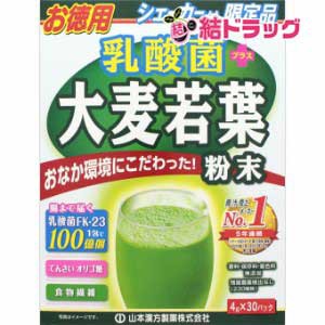 山本漢方 乳酸菌 大麦若葉 粉末 お徳用(4g*30包)