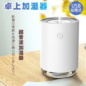 加湿器 ミニ加湿器 持ち運び便利 加湿器 LEDランプ 超細微 超静音 卓上 車載 USB加湿器 オフィス 次亜塩素酸水対応