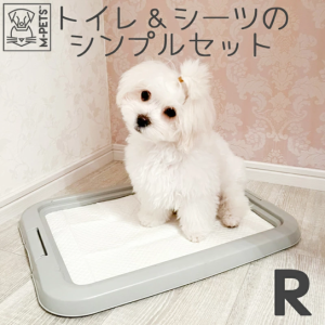 M-PETS ドッグトイレスターターキット　レギュラー　犬用トイレ トイレトレー シンプル 掃除しやすい  トイレトレーニング Petifam  