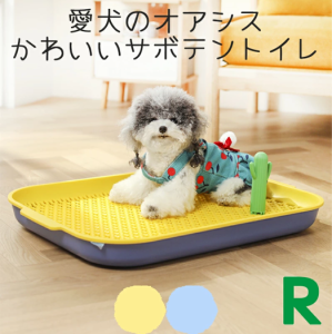 Petifam オアシスドッグトイレ　レギュラー　しつけ 犬 マーキングポール トイレ 囲い 飛び散りにくい トイレトレー  カラフル サボテン 