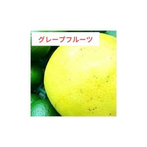 グレープフルーツ・ホワイト 精油 30ml(10ml×3本) 