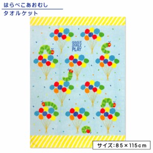 メール便送料無料 はらぺこあおむし タオルケット ハーフサイズ 85×115cm 絵本作家 エリック カール 綿100％ ネームタグ付き キャラクタ