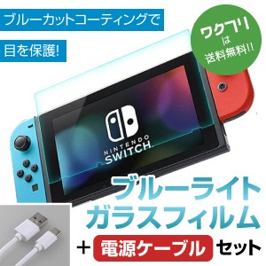 Nintendo Switch ニンテンドースイッチ ブルーライトカット 充電ケーブル付き タイプC 目に優しい 強化ガラスフィルム ブルーライト強化