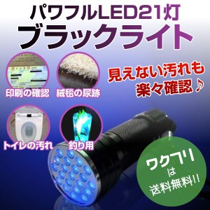 ブラックライト ペンライト ブラックペンライト LED UVライト 懐中電灯 アニサキス 強力 紫外線 科学 汚れ 釣り 蓄光力 絨毯 尿跡 チェッ