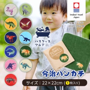 【選べる恐竜シリーズ】 全11種類 今治タオル認定 恐竜 刺繍入り ハンカチ 今治 今治タオル 今治ハンカチ 刺繍 恐竜 タオルハンカチ ハン