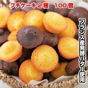 プチケーキ 焼き菓子 送料無料 フランス産発酵バター使用プチケーキ2種（プレーン味、チョコ味）100個 (50個×2セット) 訳あり 送料無料 