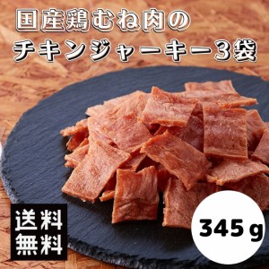 おつまみ 訳あり 国産鶏むね肉のチキンジャーキー 345g (115g×3袋) 送料無料 メール便 低カロリー 常温 業務用 高タンパク 食品 おやつ 