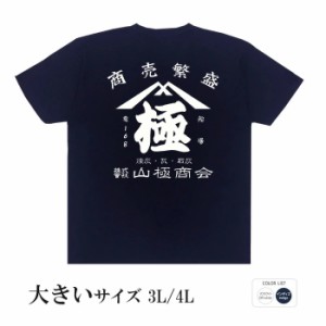 おもしろ tシャツ 大きいサイズ きわみ　極 半袖 おもしろい 面白いtシャツ 漢字 ふざけtシャツ メッセージ メッセージtシャツ メンズ レ