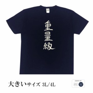 おもしろ tシャツ おもしろtシャツ 大きいサイズ 重量級 面白いtシャツ 漢字 ふざけtシャツ メッセージ メッセージtシャツ メンズ レディ