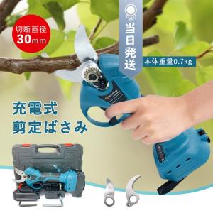 剪定 用具 ケースの通販｜au PAY マーケット