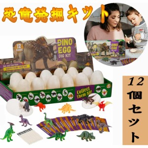 恐竜発掘キット 恐竜おもちゃ 恐竜卵玩具 12個セット ティラノサウルス 親子 プレゼント 恐竜の紹介カード 恐竜卵 発掘 プレゼント 誕生