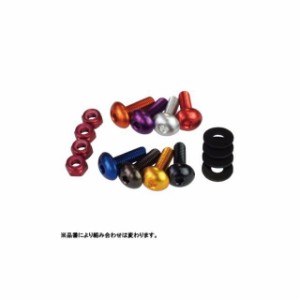 デュラボルト 汎用 スクリーンボルトキット 6穴用/2サイズ カラー：ブルー DURA-BOLT バイク