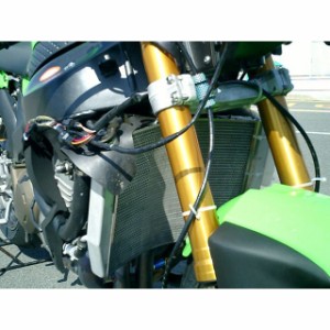 エッチングファクトリー ニンジャZX-6RR ZX-6RR（05〜06）用 ラジエターガード カラー：赤エンブレム ETCHING FACTORY …