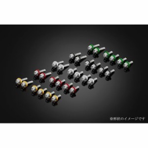 バイカーズ ニンジャZX-25R スクリーン用ステンボルトセット カラー：グレー BIKERS バイク