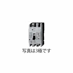 エスコ AC100-230V/30A/2極 漏電遮断器（フレーム50） ESCO バイク 車 自動車 自転車