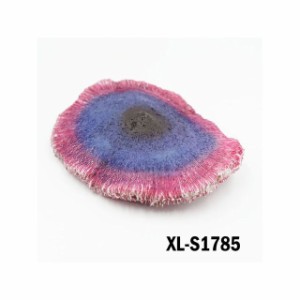 アルファテック XL-S1785 サンゴテーブル/ブルー（中） 水槽 ケージ 飼育ケース インテリア オーナメント アクセサリー オブジェ オーナ