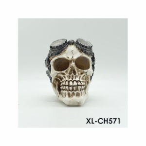アルファテック XL-CH571 ドクロ 骸骨 ガイコツ 眼鏡（小）水槽 ケージ 飼育ケース インテリア オーナメント アクセサリー オブジェ オー