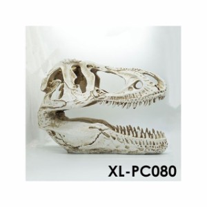 アルファテック XL-PC080 骨格/化石（大）恐竜 水槽 ケージ 飼育ケース インテリア オーナメント アクセサリー オブジェ オーナメント ジ