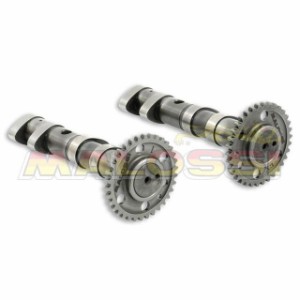 マロッシ TMAX530 Double POWER CAM camshaft MALOSSI バイク