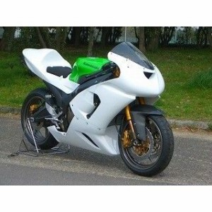 クレバーウルフ ニンジャZX-10R ニンジャZX-6R スクリーン CLEVERWOLF バイク