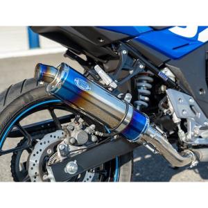 Realize GSX250R Aria スラッシュ(TypeS) マフラー Realize GSX250R