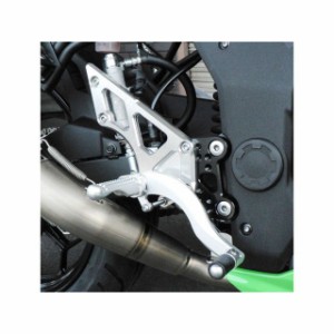 ビートジャパン ニンジャ250SL ハイパーバンク 固定式（シルバー） BEET バイク