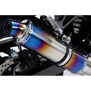 Realize GSX250R Aria スラッシュTypeS マフラー GSX Realize GSX250R バイクマフラー 2BK-DN11A 8BK-DN12B 2017