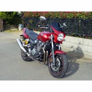 ワールドウォーク SR400 XJR1300 汎用ビキニカウル DS-01 typeAERO（ディープレッドメタリックk） WW バイク