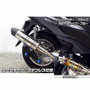 ウイルズウィン トリシティ125 トリシティ125用 アニバーサリーマフラー ユーロタイプ チタン仕様 ビレットステー：ブラック ボルトキャ