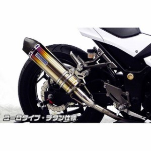 ウイルズウィン ニンジャ250 Ninja250用 スリップオンマフラー ユーロタイプ サイレンサー：チタン仕様 WirusWin バイク