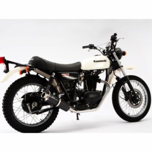 ビームス 250TR SS300 マフラー サイレンサー：カーボン BEAMS バイク