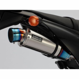 ビームス Dトラッカー125 R-EVO サイレンサー サイレンサー：チタン BEAMS バイク